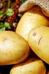 Do sada ste živeli u zabludi: Nutricionista otkrio da li krompir zapravo goji 4 potatoes 1585060 1280
