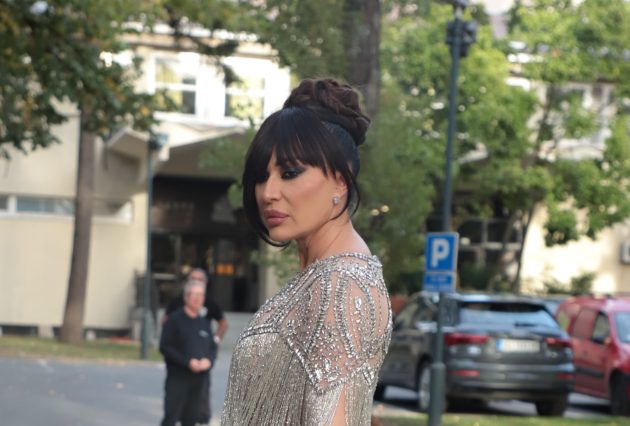 ceca u srebrnoj haljini