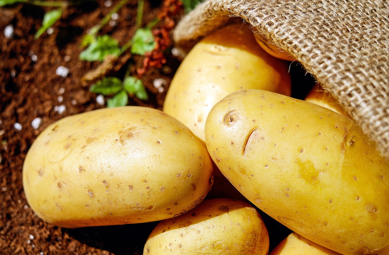 Otkrivamo: Evo kako vam krompir može pomoći da skinete kilograme 5 potatoes 1585060 1280