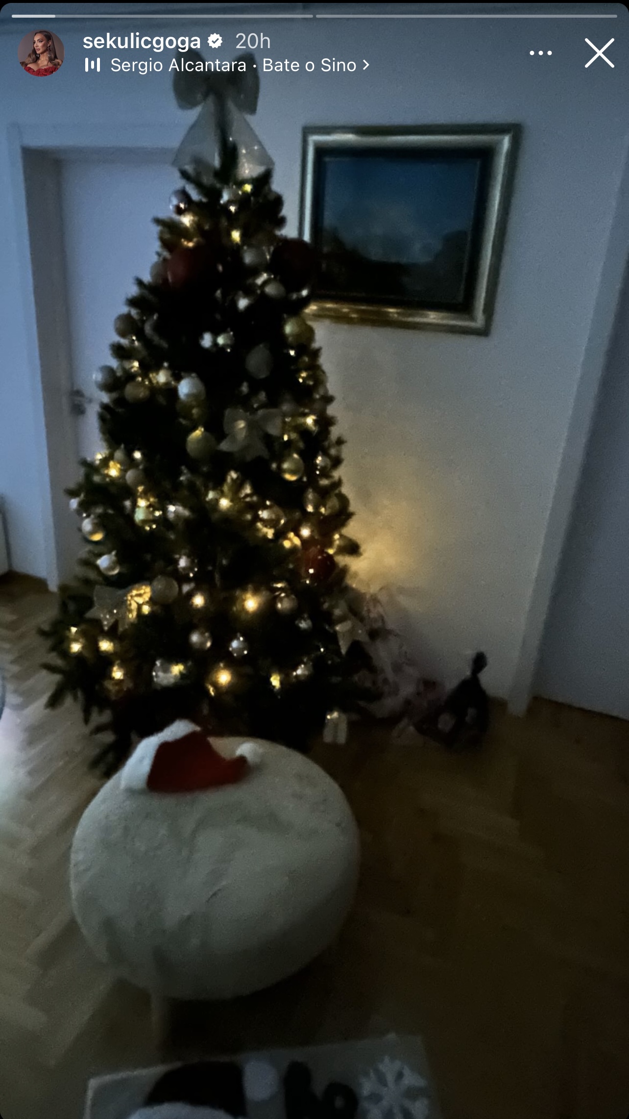 Novogodišnja bajka u domu Goge Sekulić: Pogledajte kako se pevačica priprema za praznike(FOTO) 6 IMG 1458 1