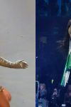 Milica Pavlović otvorila koncert u Areni: Pojavila se kao Boginja i zapalila Beograd (VIDEO) 3 ipiccy image 27