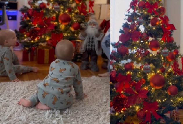novogodisnja bajka ivana pavkovic