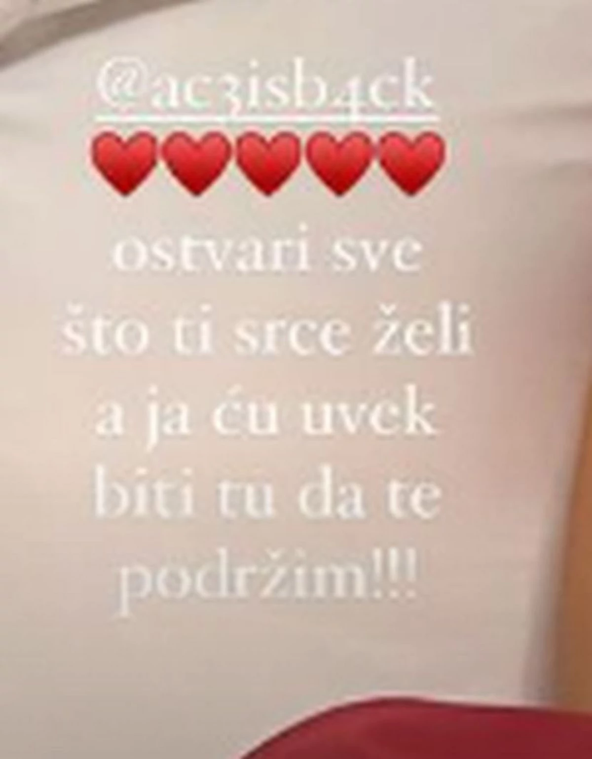 slavlje u domu cece raznatovic