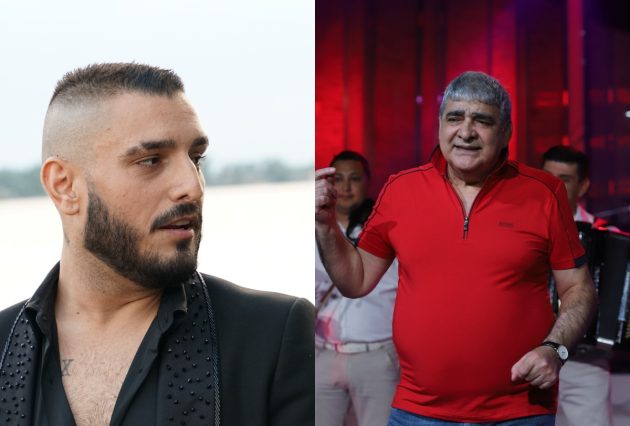 darko lazic i ljuba alicic svadja