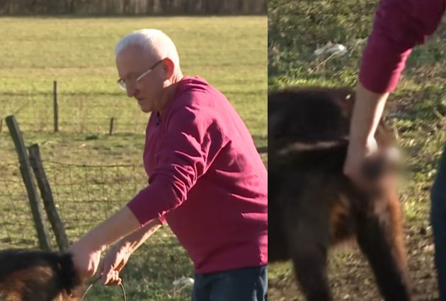 era ojdanic uhvatio jarca za muda