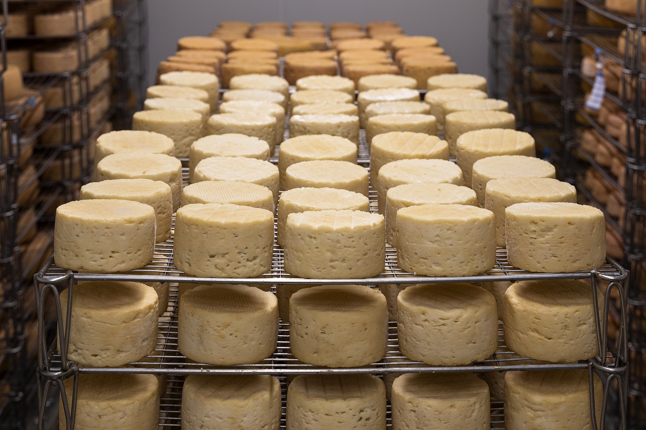 cheese 5125021 1280
