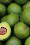 Lagani namaz od avokada zbog kojeg će ti biti jasno zašto su svi poludeli za ovom voćkom 3 avocado 2742200 640