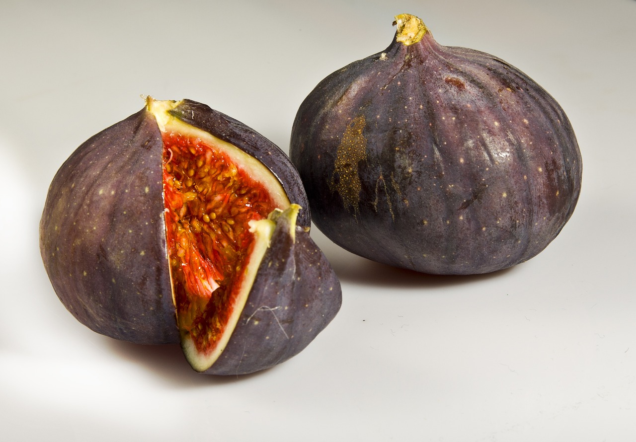 fig 1506157 1280