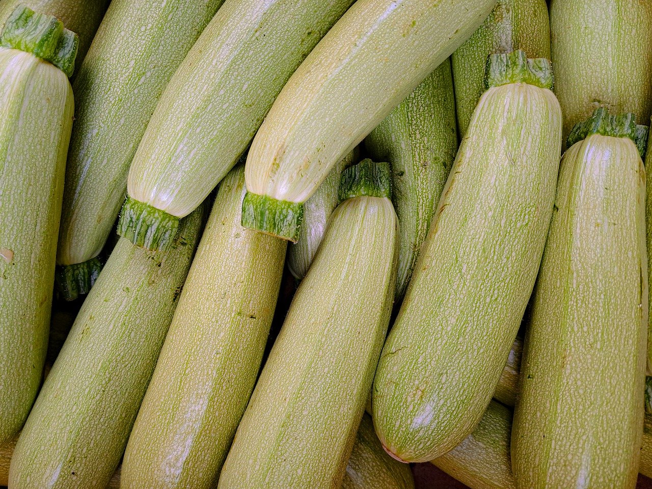 zucchini 7898757 1280