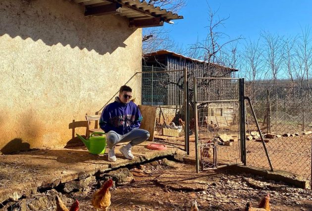 pozdrav iz Istre istra animals farm rimtimtagidim dora babylasagna cat chicken goat