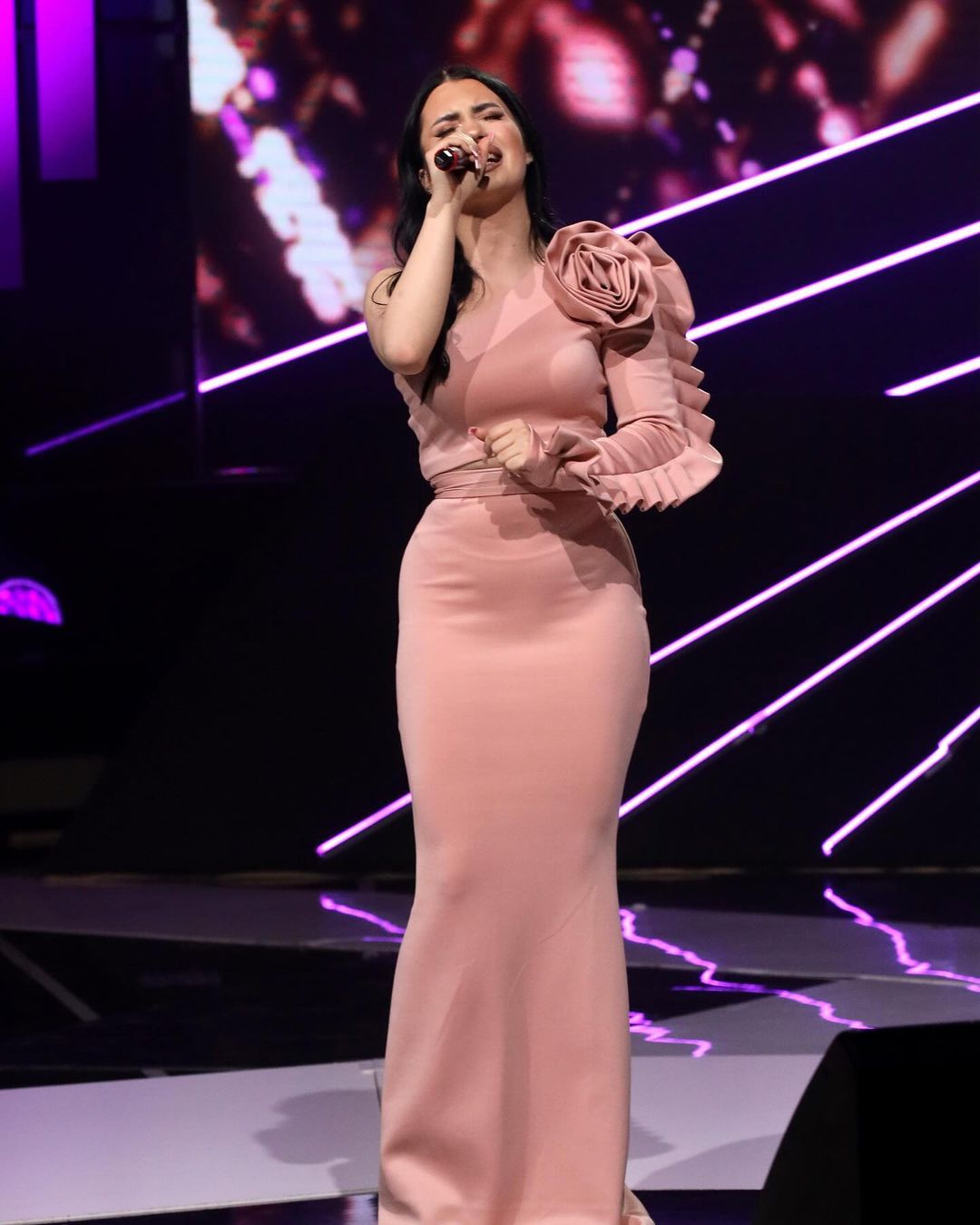 zorana mićanović večera