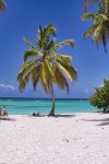 beach 6517214 1280