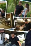 Posetili smo dom i farmu Sidika Šabanovića u Visokom: "Krave uživaju uz moju muziku" VIDEO 2 farma i kuca sidika sabanovica
