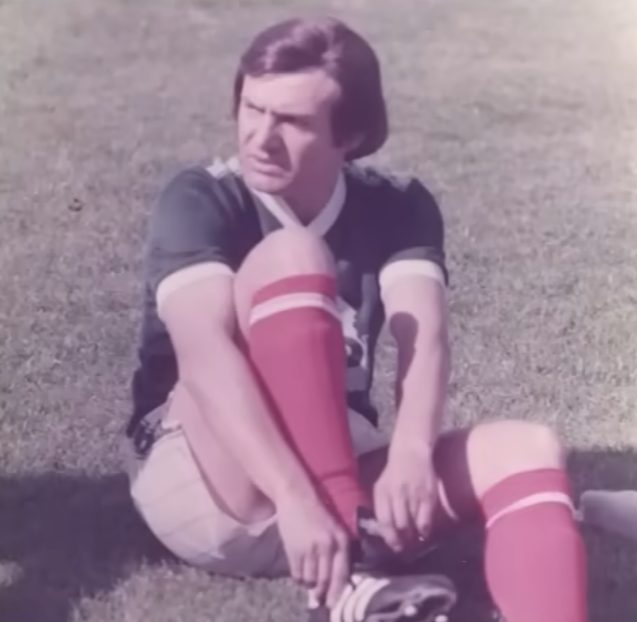 šaban šaulić