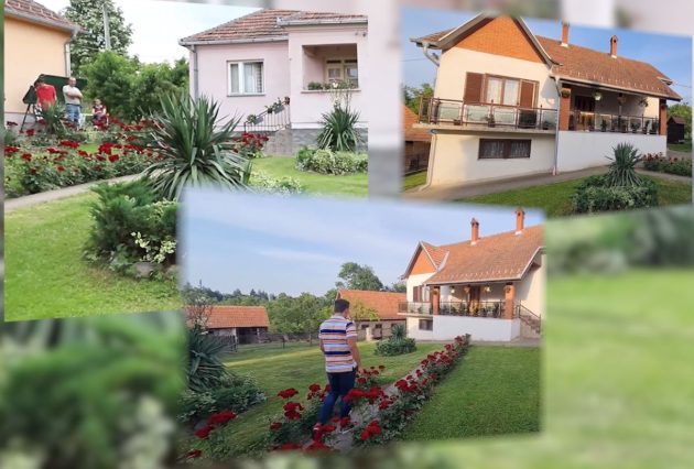 kuca bojana palvovica