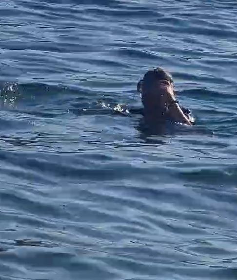GRAND PAPARAZZO uhvatio finalistu "Nikad nije kasno" na plaži, zbog jednog poteza svi kažu: "Kakav car" VIDEO 6 ok