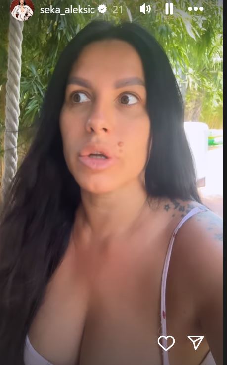 seka aleksic h