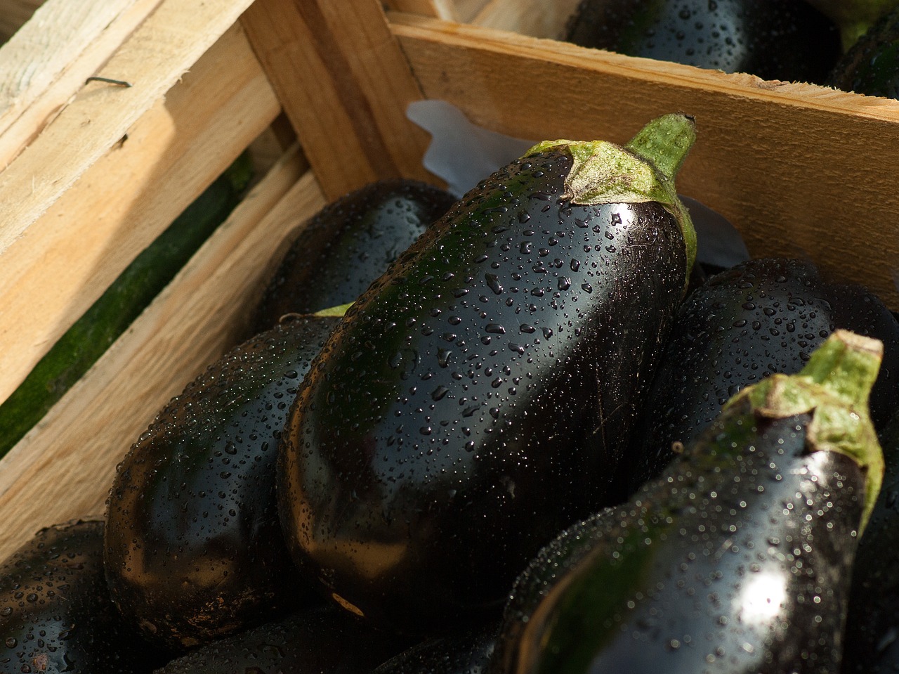 Jednostavan recept za plavi patlidžan, uspeva baš svima 6 eggplants 1707629 1280