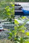 Pevač iz "Zvezda Granda" uhvaćen dok vesla, sve oči uprte u njega (VIDEO) 3 rajo
