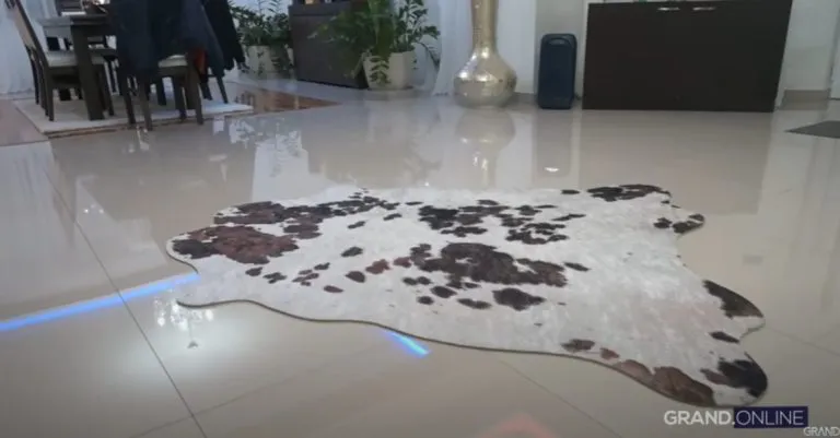 "Ljudi neće da prihvate da sam sve sam zaradio", Poznati pevač sagradio vilu iz snova, a tek da vidite enterijer (VIDEO) 10 tepih 768x401 1