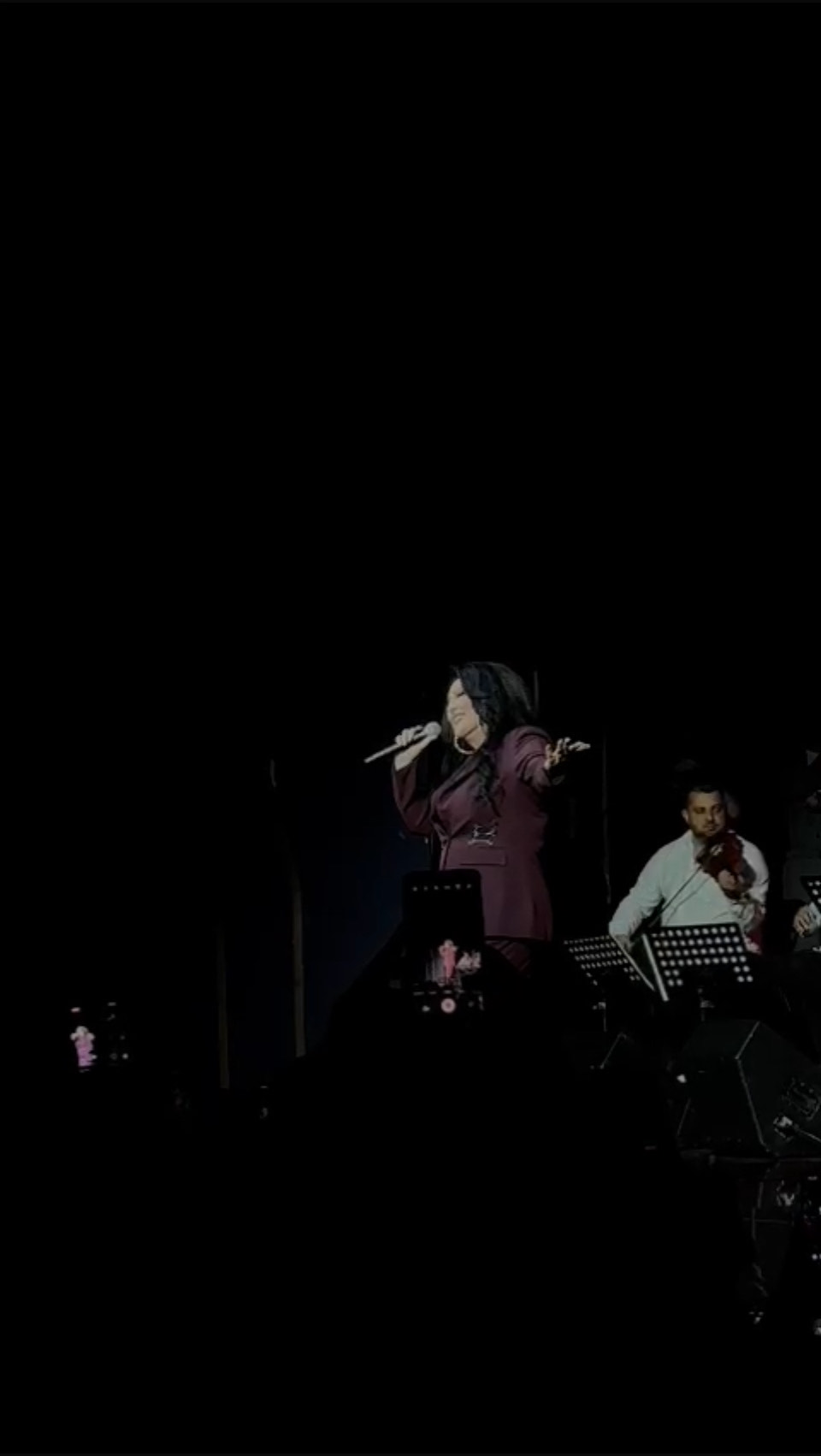 Scena za istoriju: Dragana Mirković zapevala sa Snežanom Đurišić, nastao delirijum u prepunoj sali (VIDEO) 7 IMG 4650