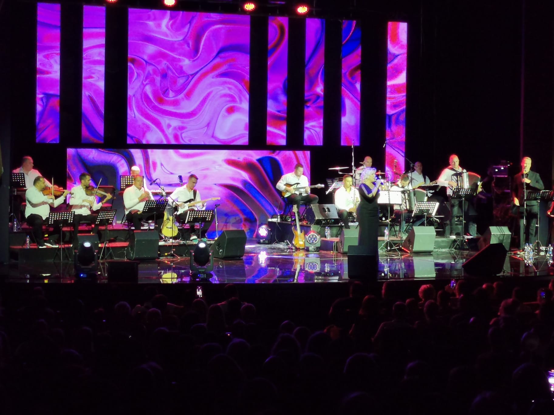 Snežana Đurišić otvorila koncert na najemotivniji način: "Hvala vam za sve" VIDEO 7 image00001 2
