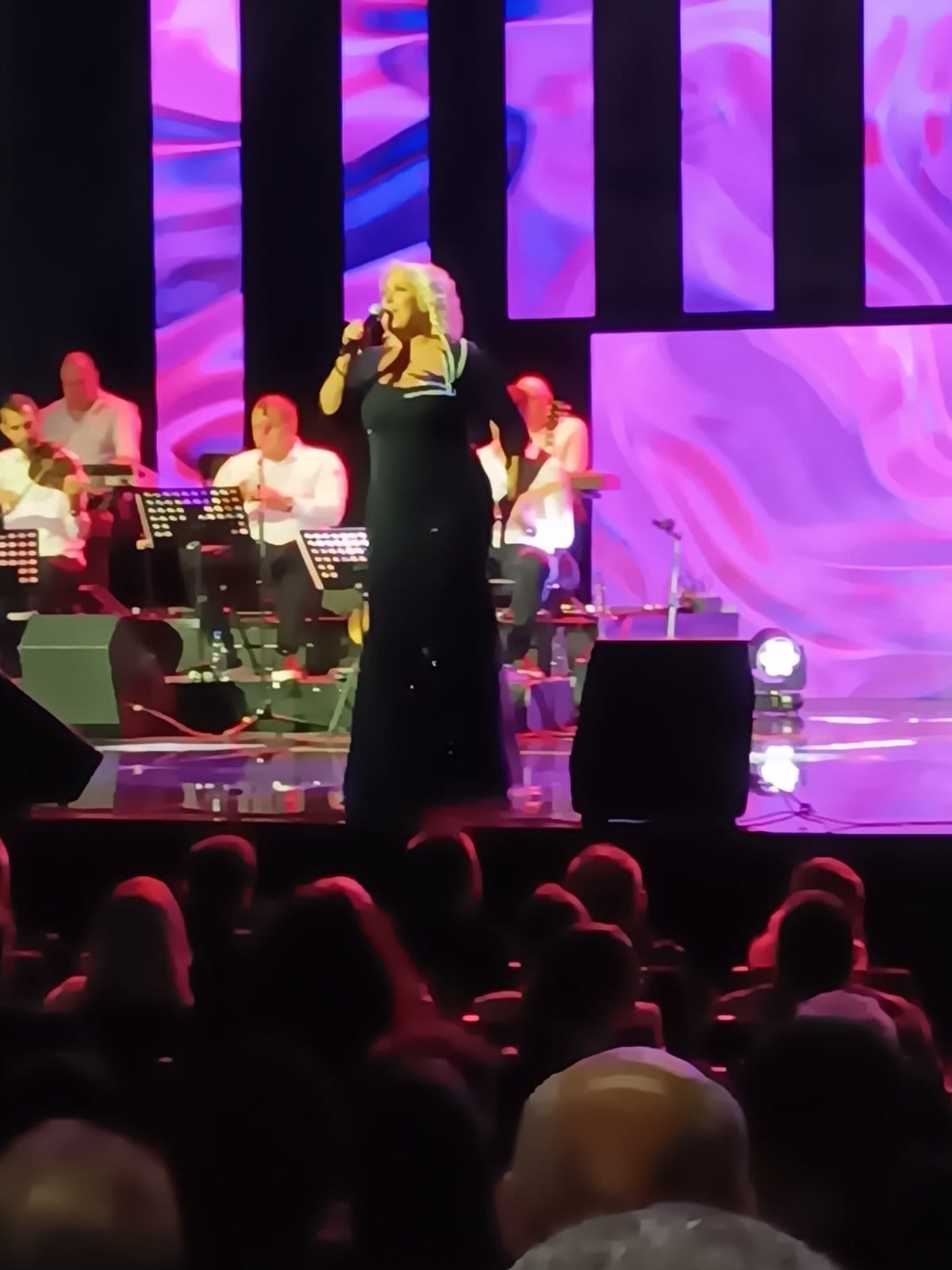 Snežana Đurišić otvorila koncert na najemotivniji način: "Hvala vam za sve" VIDEO 5 image00003 3