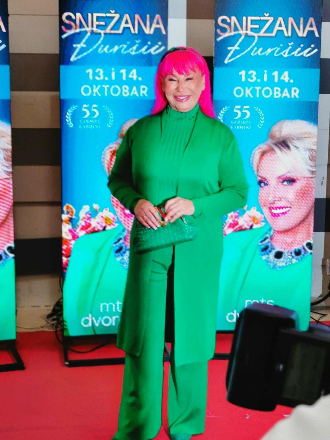 Cela estrada došla da podrži Snežanu Đurišić: Velika imena stigla na koncert, tu su i kolege iz žirija "Zvezda Granda" VIDEO 5 image00011
