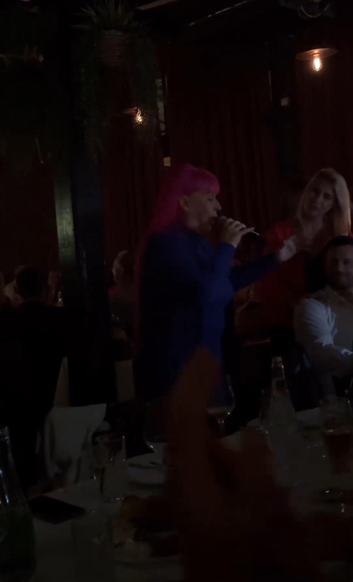 Zorica Brunclik napravila lom na after partiju kod Ilde: Naježićete se kada čujete kako je sašila svoj poznati hit VIDEO 6 image 123650291