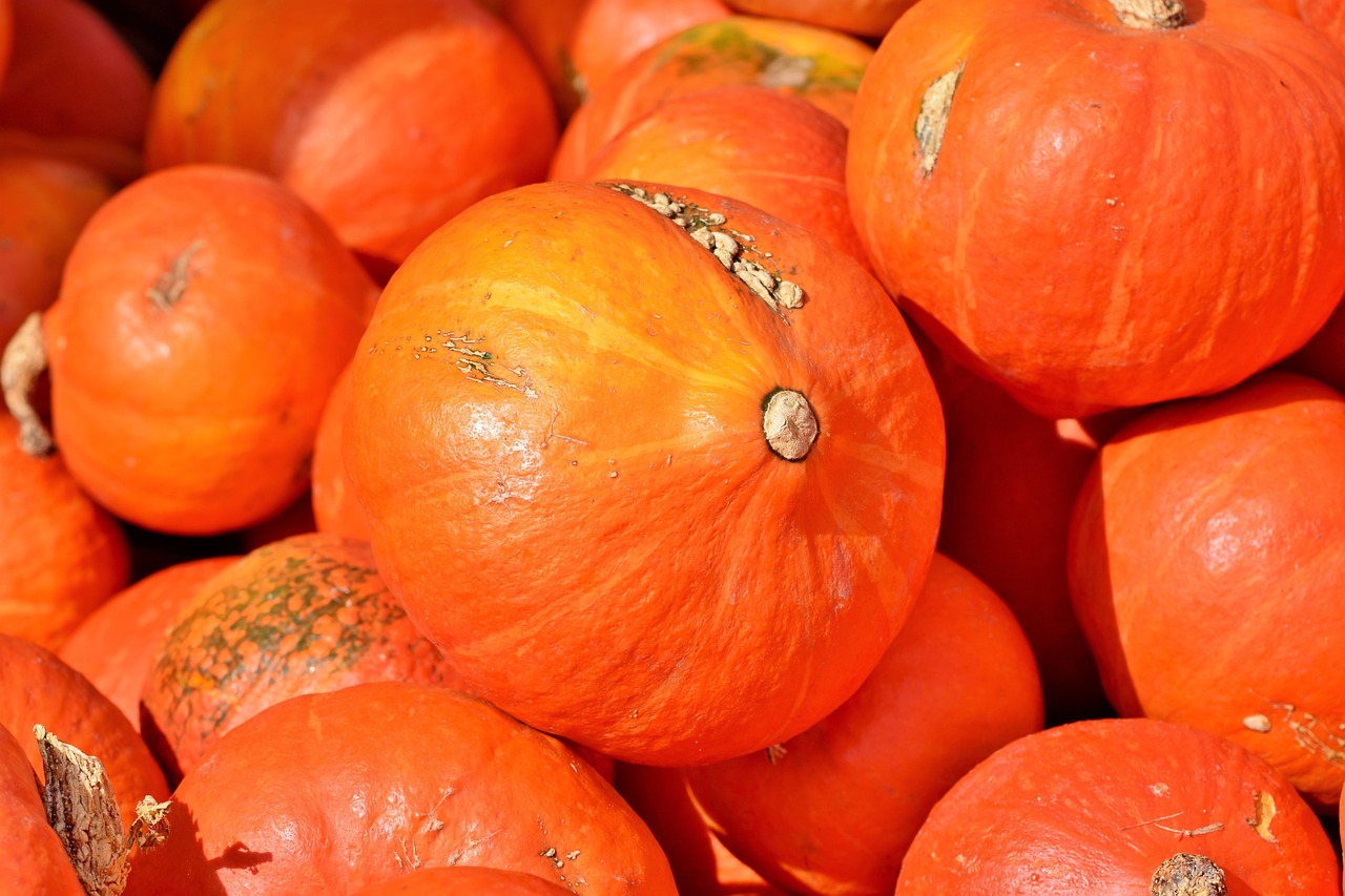 Uživanje u jesenjim ukusima: Kolač od bundeve i oraha inspirisan čizkejkom 6 pumpkin 3735640 1280
