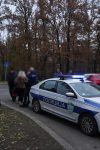 Mamu zvezde "Granda" udario auto na pešačkom prelazu 7 mamu takmicarke iz zvezda granda udario automobil