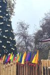 Unesite ovu biljku za praznike i zaštitite dom od nesreće i zla 3 nova godina bec1