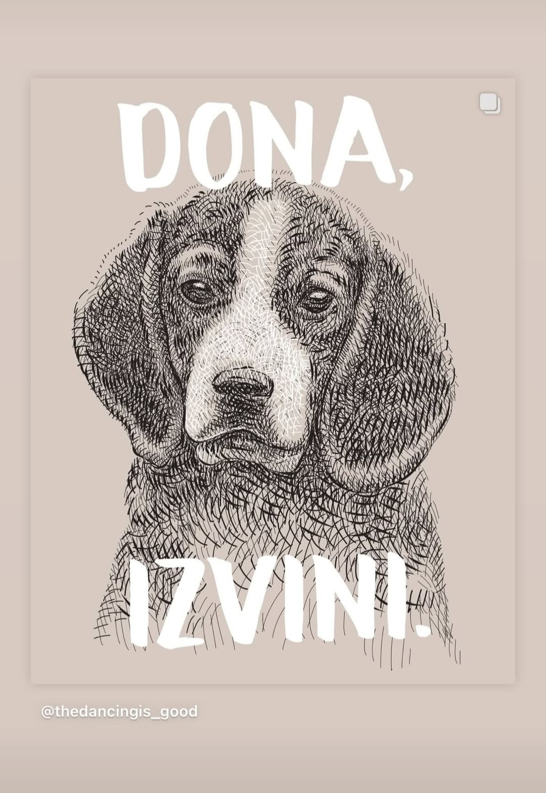 Tužna objava Dragane Katić rasplakala mnoge 7 Screenshot 20250126 091539 Instagram