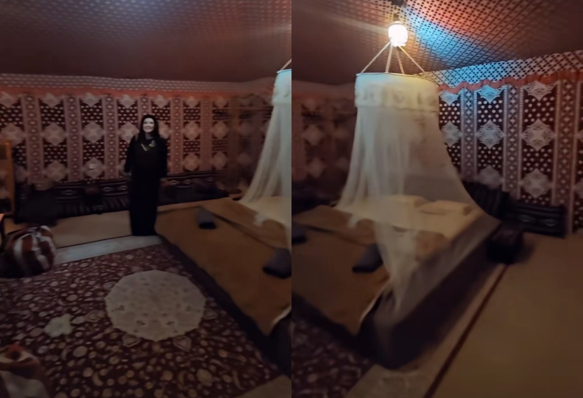 Najluđi rođendan u životu Dragane Mirković: Dočekala ga u šatoru, pa zaigrala trbušni ples VIDEO 7 dragana mirkovic