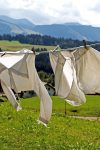 5 grešaka koje svi prave pri pranju veša zbog kojih on ne miriše dugotrajno nakon sušenja 2 laundry 963150 1280