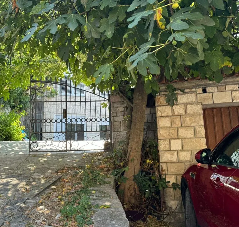 Ovde ste sigurno prošli bar jednom, a ne znate da je ovo kuća Nede Ukraden 8 vila nede ukraden u crnoj gori