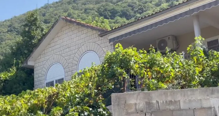 Ovde ste sigurno prošli bar jednom, a ne znate da je ovo kuća Nede Ukraden 9 vila nede ukraden lepetane