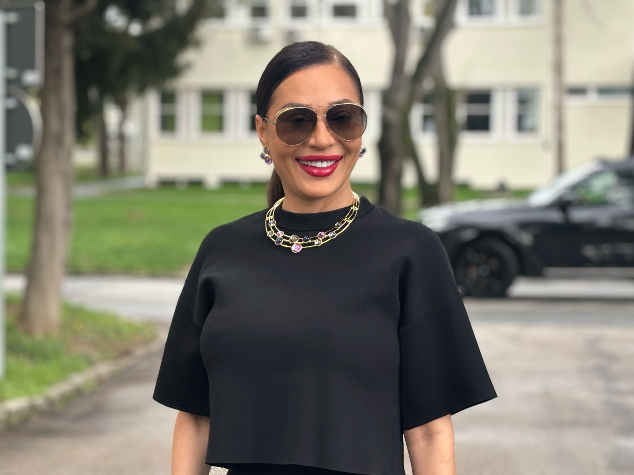 ceca raznatovic 12