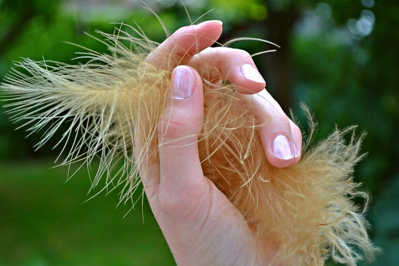 Ovo vas pouzdano razotkriva: Evo šta nokti govore o vašem karakteru 10 feather 1079258 1280