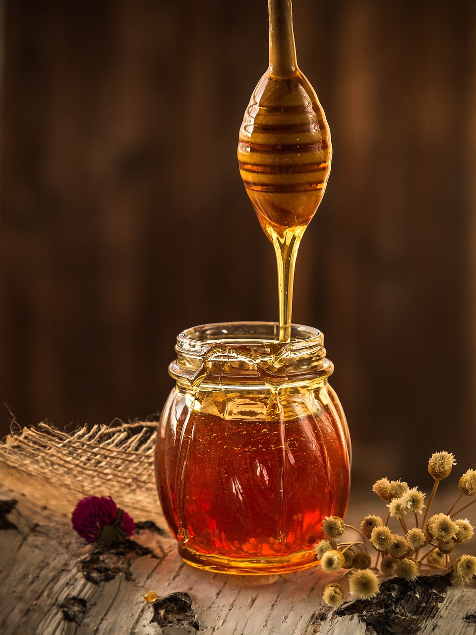 hibernacijska dijeta 4