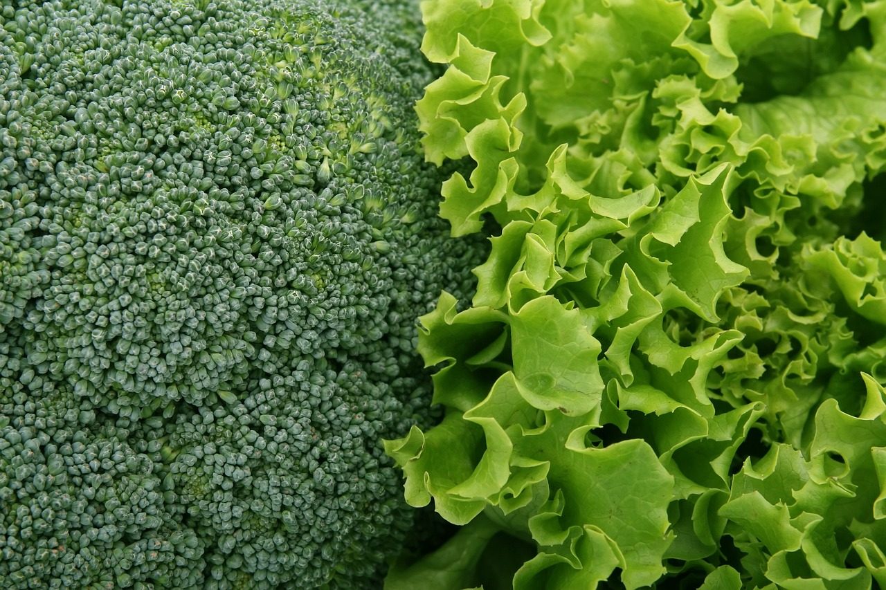 Jedna salata je pravo blago: Ovo je tajna najzdravije hrane na svetu koja produžava život 5 image 8 8