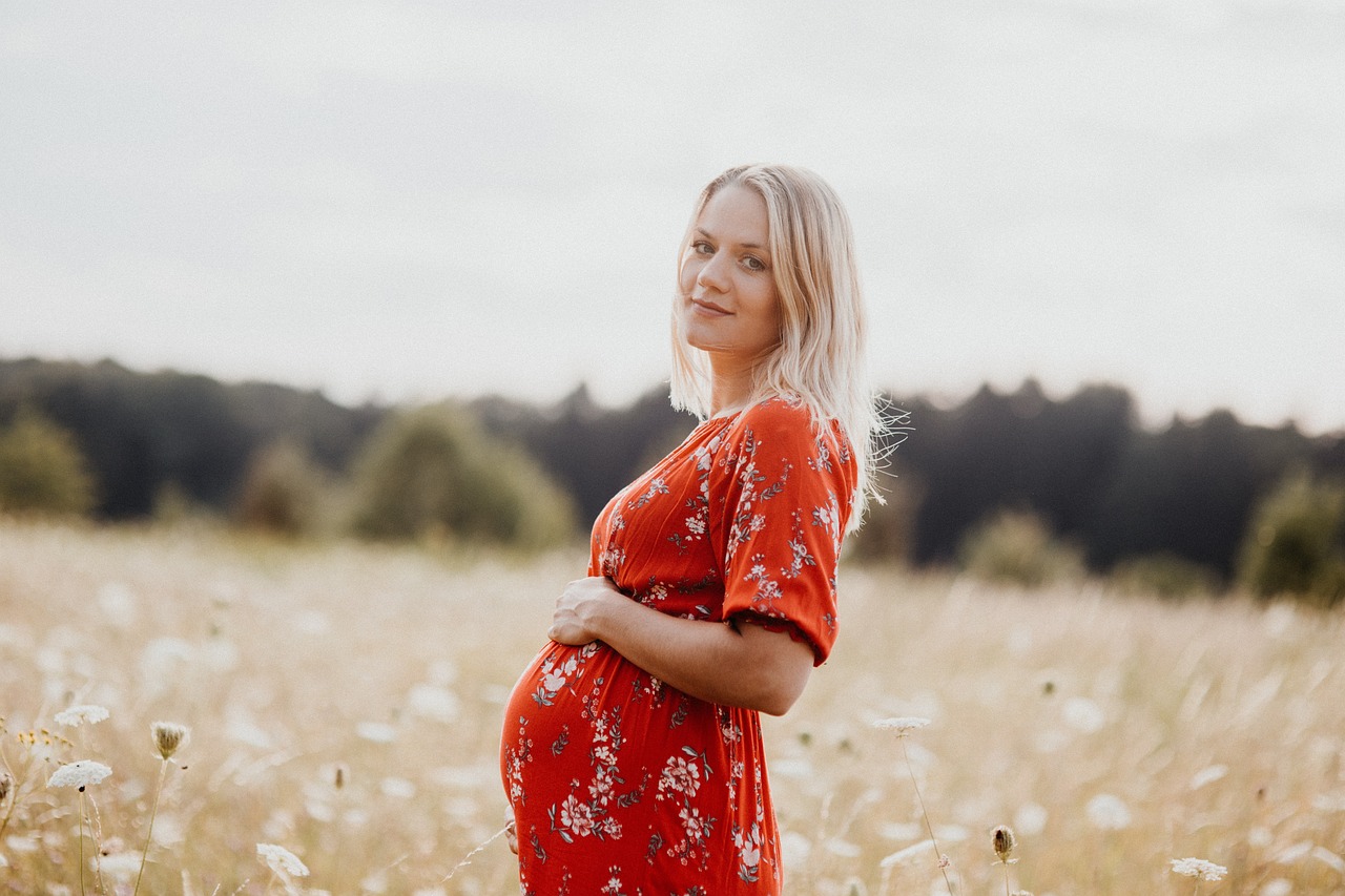 pregnancy 5098881 1280