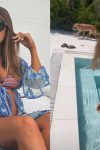 Olja Crnogorac (41) se skinula u bikini i pokazala trudnički stomak 3 olja crnogorac