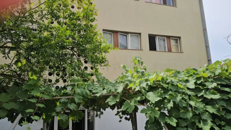 IMG 20240806 WA0027 768x432 1