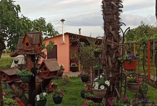 IMG 80ec9ff3120d4ceb297565bf8e23fb7f V 1 630x426 1