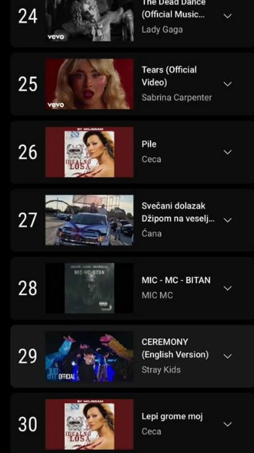 Ceca oborila još jedan rekord: Njoj je uspelo ono što drugima nije 8 trending 830x0 1