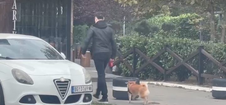 PAPARAZZO: Peđa Jovanović u potpuno drugačijem izdanju, evo šta radi već u 8 ujutru VIDEO 6 Screenshot 2025 10 01 084405