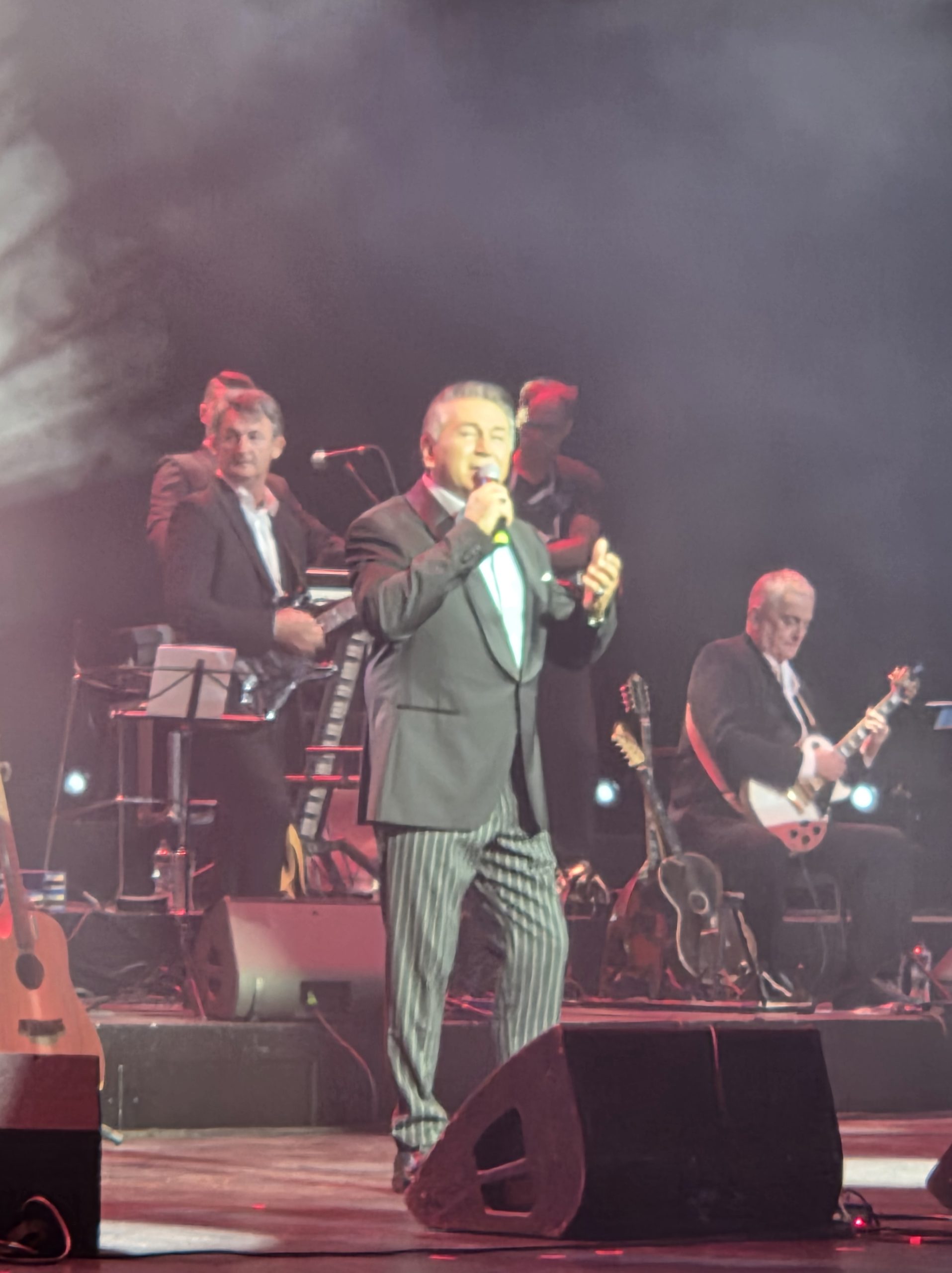 Halid Muslimovic 1