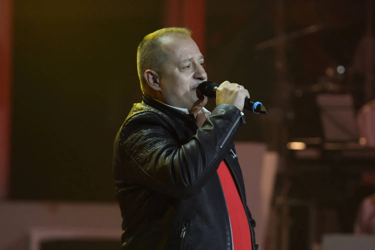 branislav bakic
