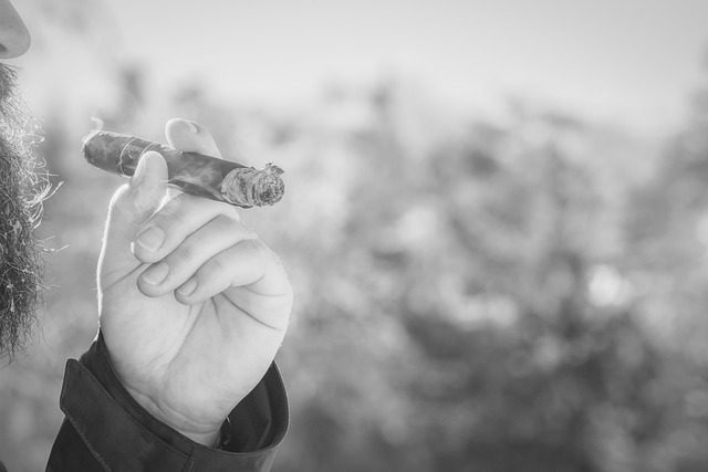 Samo 1 namirnica ima moć da preporodi pušače: Odlična za srce i krvne sudove, bogata vitaminima i mineralima 5 image 21
